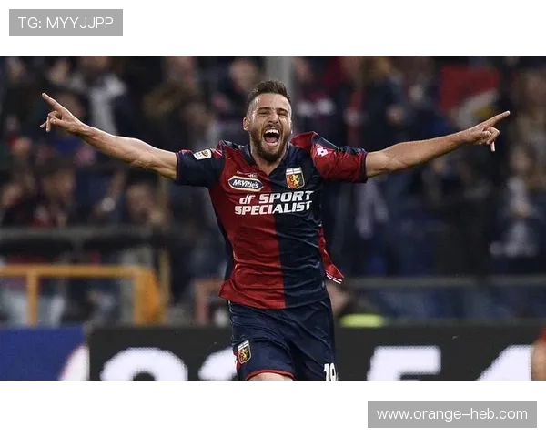 莱切足球俱乐部的历史发展与未来展望：从起步到意甲强队的崛起