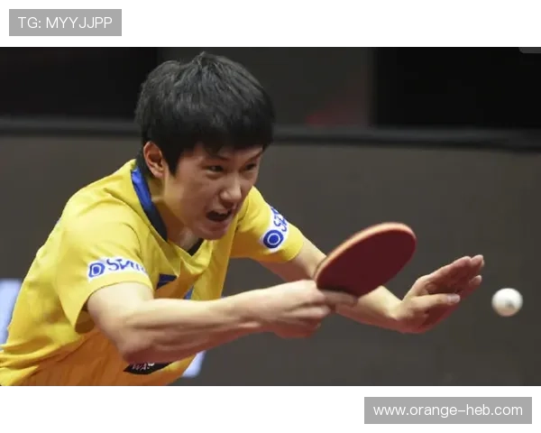 国家队逆转夺冠引爆球迷激情新赛季备战动态持续成焦点热议话题中