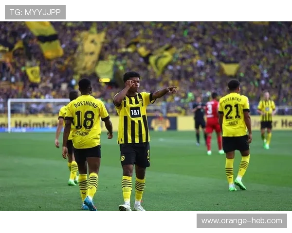 切尔西俱乐部迎来关键调整新赛季战略引发球迷高度关注持续变化走向