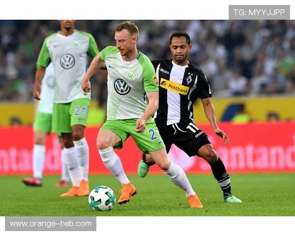 沃尔夫斯堡足球俱乐部的辉煌历程与未来展望分析